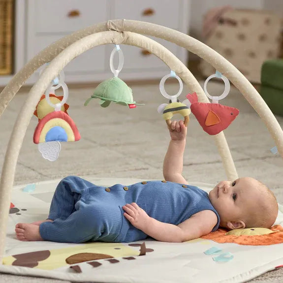 Baby Play Gyms & Activity Toys