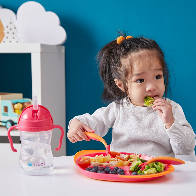 B.Box Sippy Cup V2-29