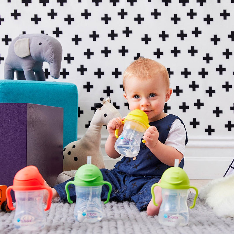 B.Box Sippy Cup V2-27