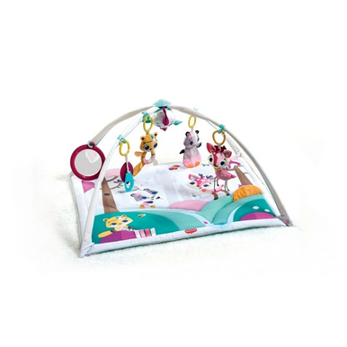Tiny Love Tiny Princess Tales Gymini Deluxe-1