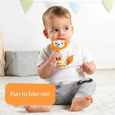 Tiny Love Teether Rattle-4