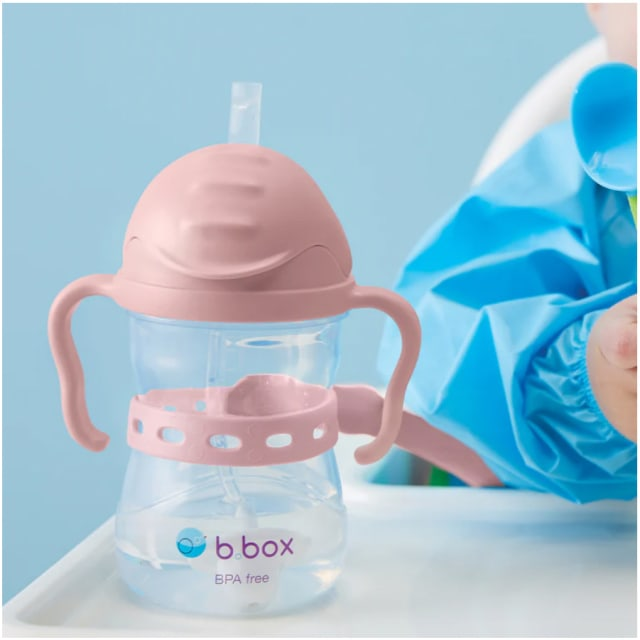 B.Box Connect-A-Cup Attachment-14