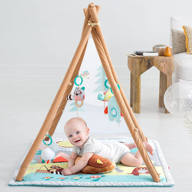 Skip Hop Camping Cubs Activity Gym-1