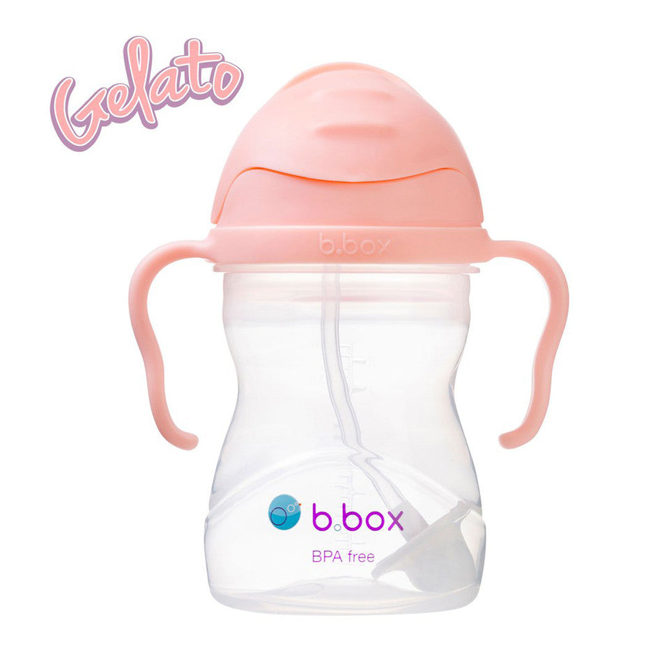 B.Box Sippy Cup V2-12