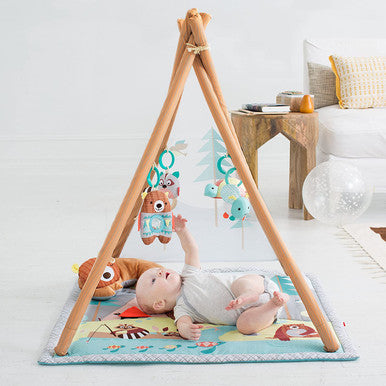 Skip Hop Camping Cubs Activity Gym-2