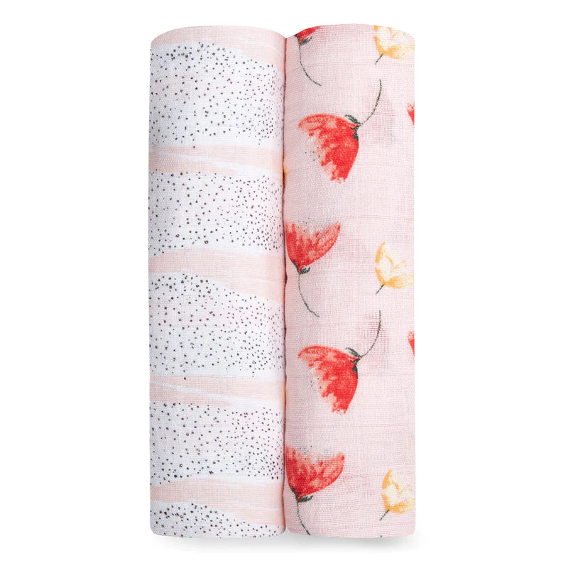 Aden & Anais Classic Swaddle 2pk-4
