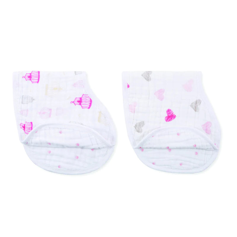 Aden & Anais Burpy Bibs 2pk-4
