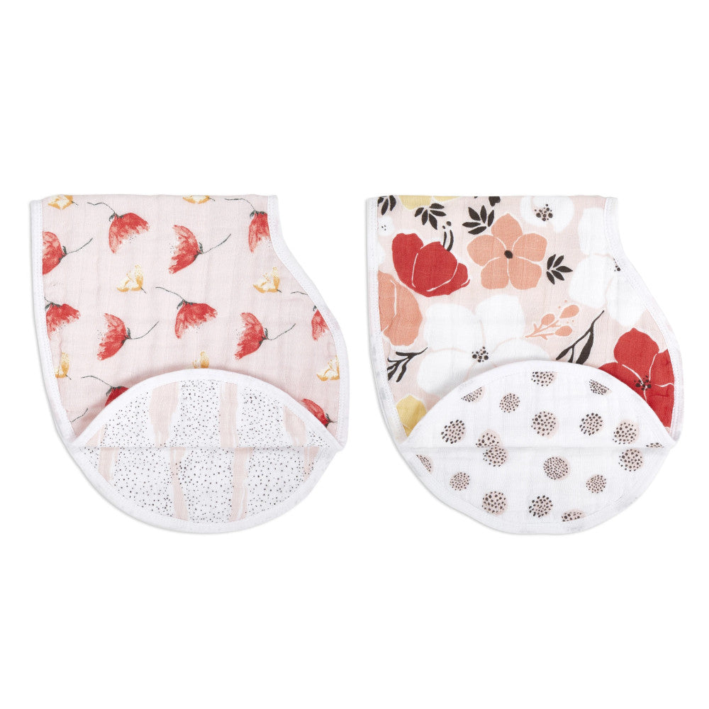 Aden & Anais Burpy Bibs 2pk-5