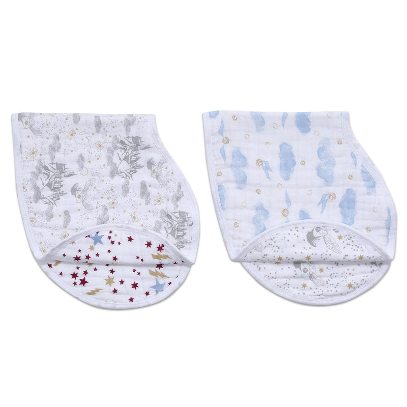 Aden & Anais Burpy Bibs 2pk-9