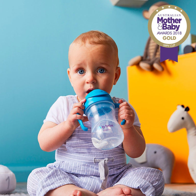 B.Box Sippy Cup V2-30