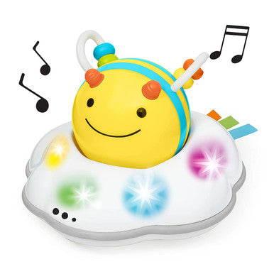 Skip Hop Explore & More Follow-Bee Crawl Toy-1