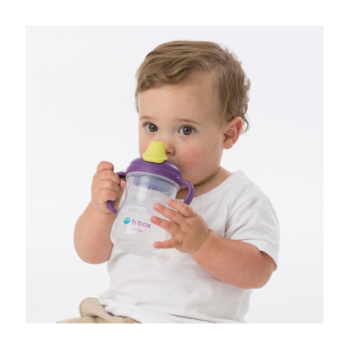 B.Box Spout Cup-10