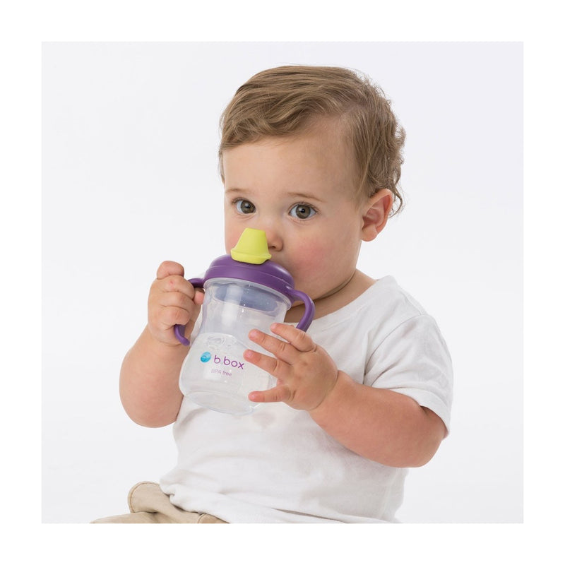 B.Box Spout Cup-10