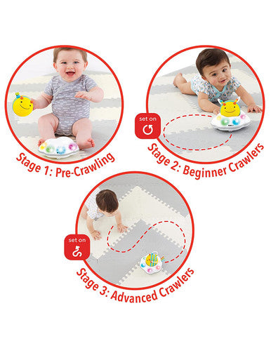 Skip Hop Explore & More Follow-Bee Crawl Toy-2