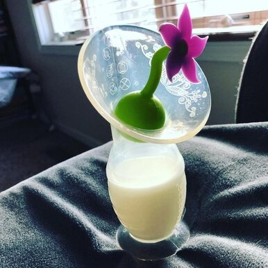 Haakaa Silicone Breast Pump with Suction Base (150ml)-4