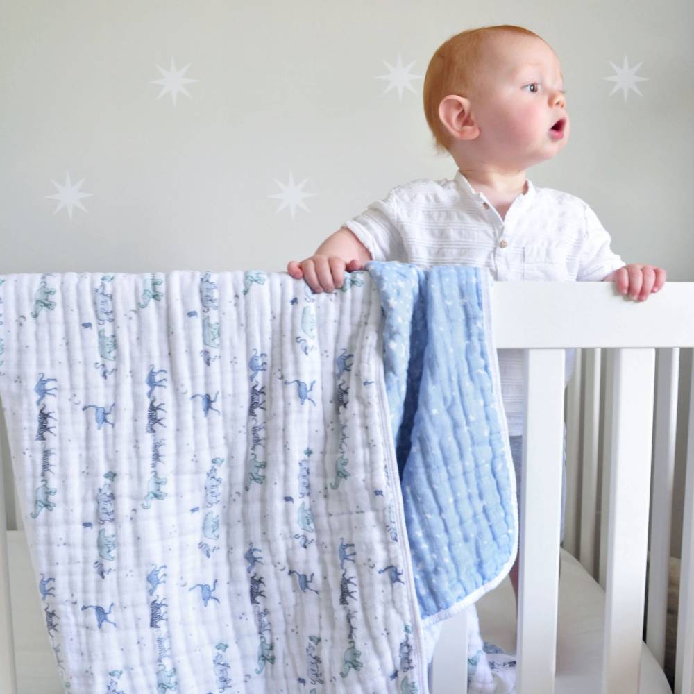 Aden & Anais Dream Blanket-26