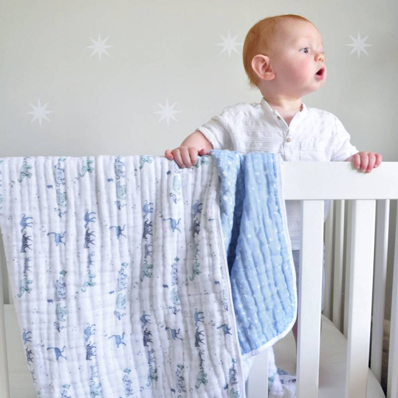 Aden & Anais Dream Blanket-26