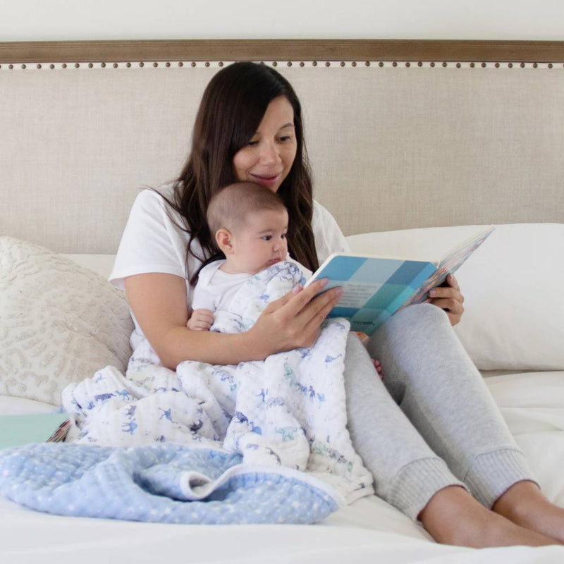 Aden & Anais Dream Blanket-27