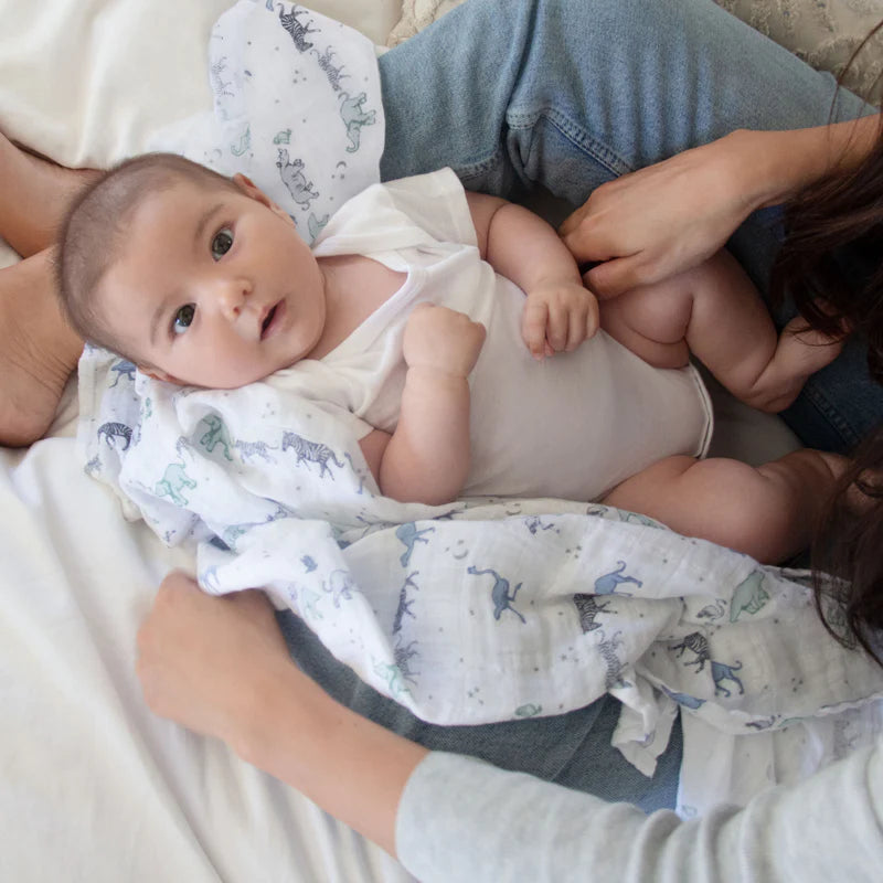 Aden & Anais Classic Swaddle 2pk-25