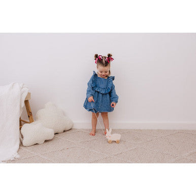 Bubble Wooden Rabbit Pull Along-2