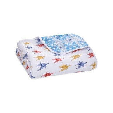 Aden & Anais Dream Blanket-3