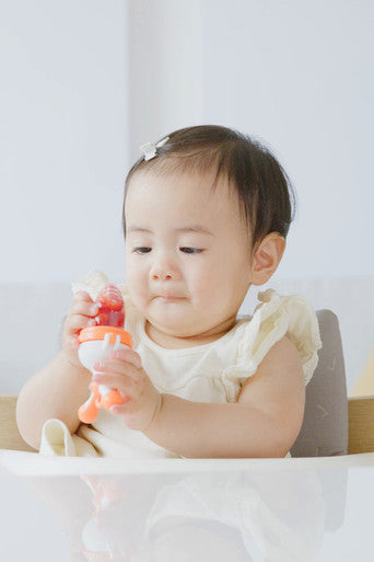 Quark Fruuti Baby Fruit Feeder-2