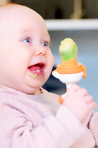 Quark Fruuti Baby Fruit Feeder-3