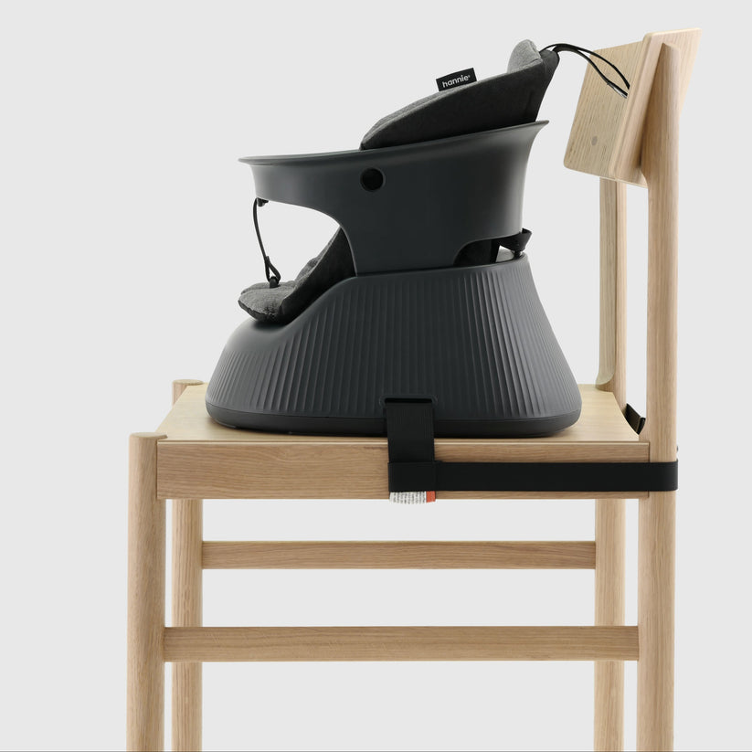 Hannie Portable Highchair-6