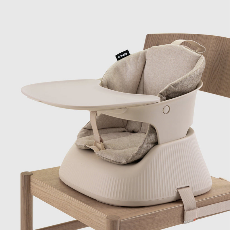 Hannie Portable Highchair-1