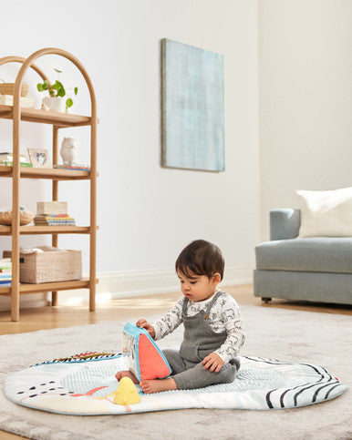 Skip Hop Discoverosity Deluxe Activity Gym-3