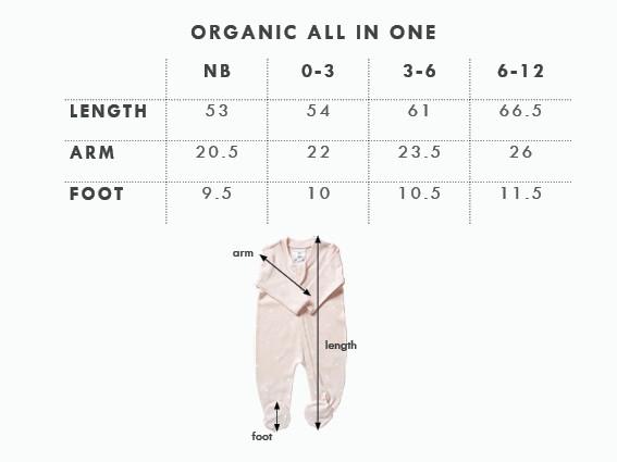 Babu Organic All In One Zip Front with Feet-23
