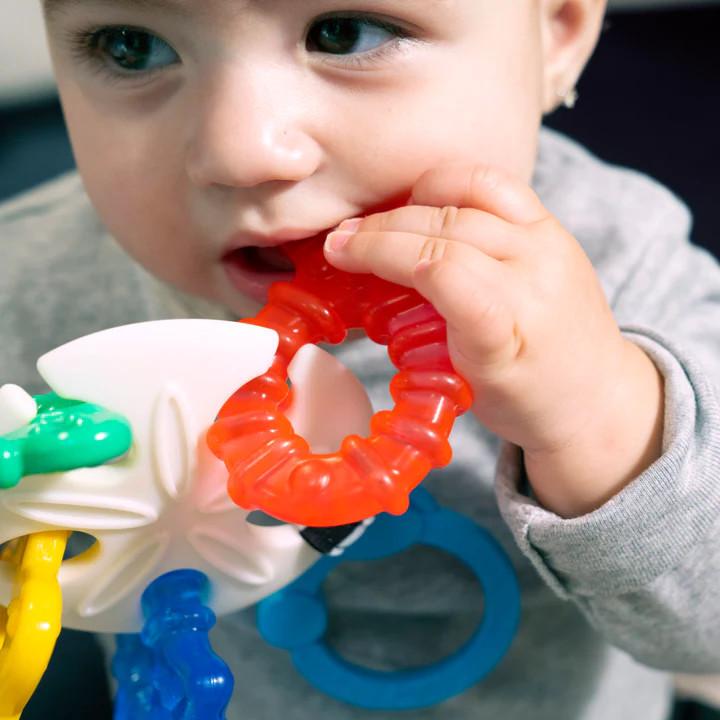 Baby Einstein Sea of Sensory Teether Toy-6