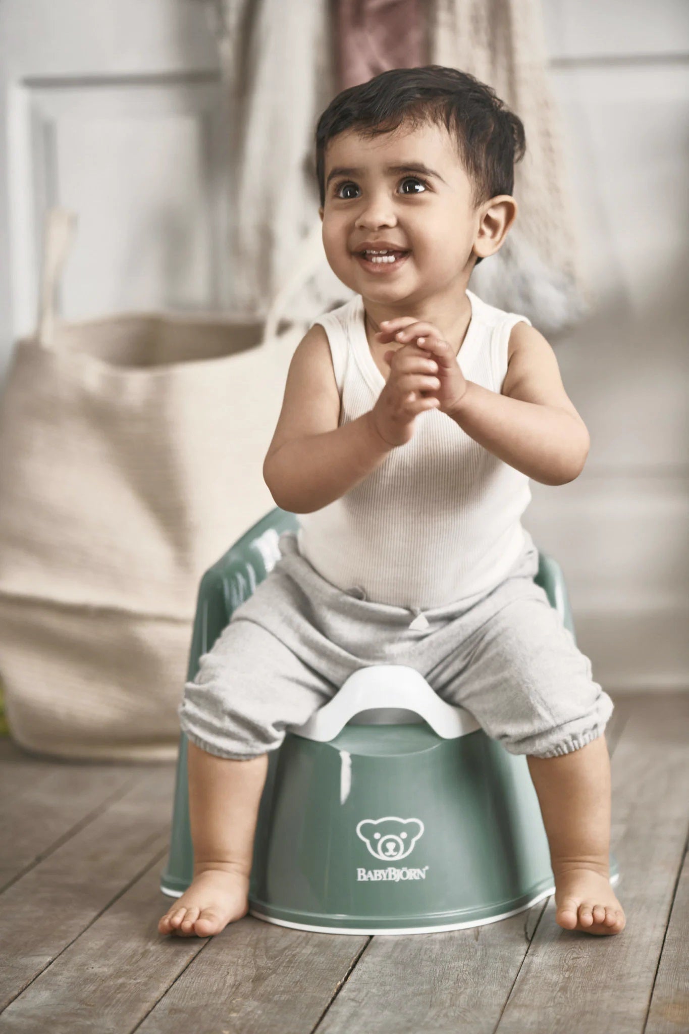 Baby Bjorn Potty Chair-12