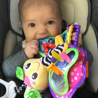 Buy Playgro Activity Friend Blossom Butterfly Online - Babies Nz