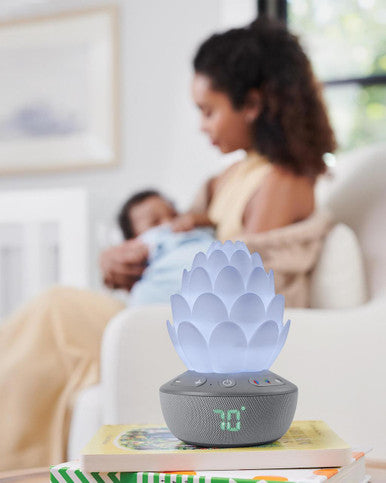 Buy Skip Hop Terra Cry-Activated Soother Online - Babies Nz