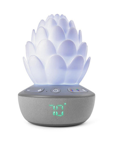Buy Skip Hop Terra Cry-Activated Soother Online - Babies Nz