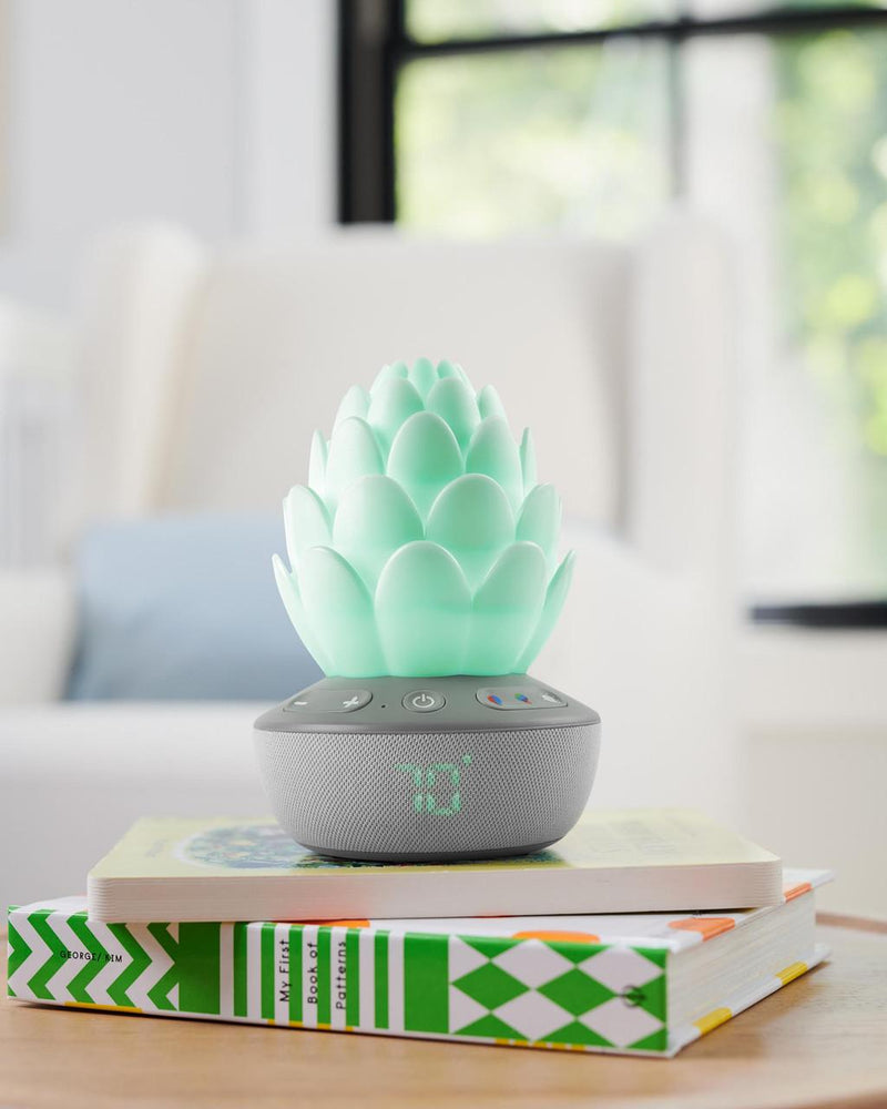 Skip Hop Terra Cry-Activated Soother-9