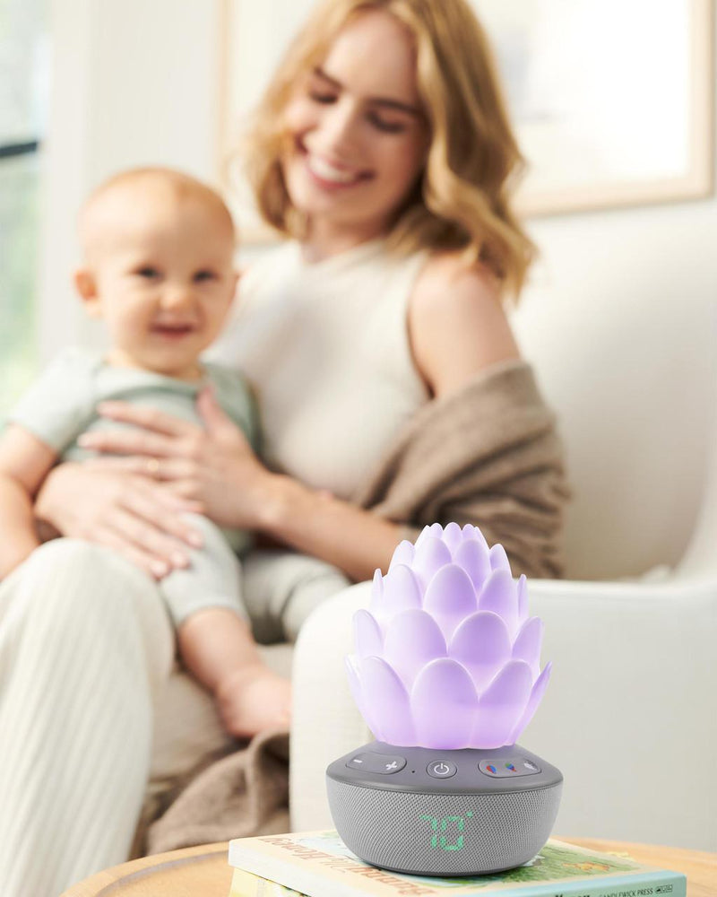 Skip Hop Terra Cry-Activated Soother-7