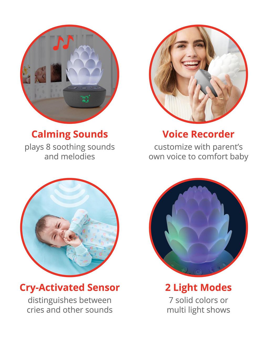 Skip Hop Terra Cry-Activated Soother-4