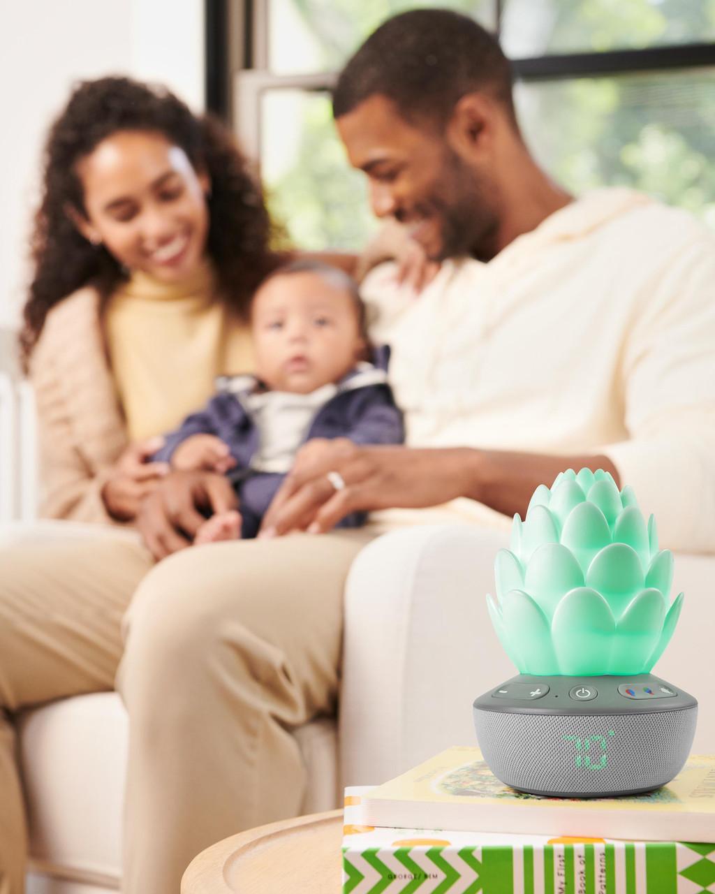 Skip Hop Terra Cry-Activated Soother-5