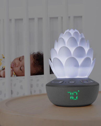 Buy Skip Hop Terra Cry-Activated Soother Online - Babies Nz