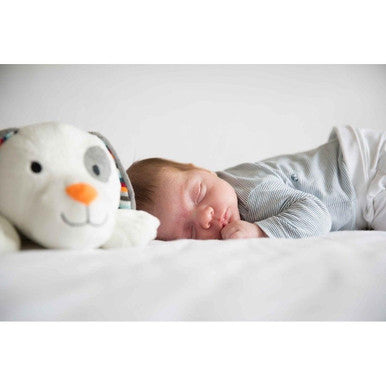 Buy Zazu Dex the Puppy With Heartbeat Online - Babies Nz