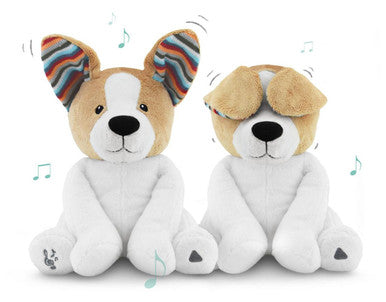 Buy Zazu Peek-A-Boo Plush Danny the Dog Online - Babies Nz