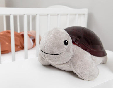 Buy Zazu Tim the Turtle Projector Online - Babies Nz
